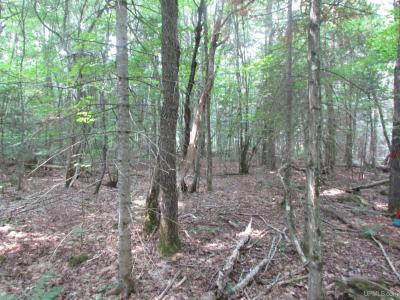 TBD West, Michigamme, Michigan 49861, USA