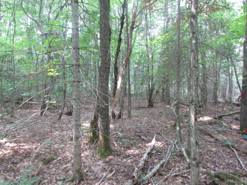 TBD West, Michigamme, Michigan 49861, Stati Uniti