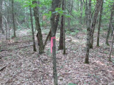 TBD West, Michigamme, Michigan 49861, Stati Uniti