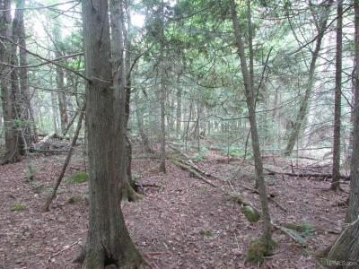 TBD West, Michigamme, Michigan 49861, Stati Uniti