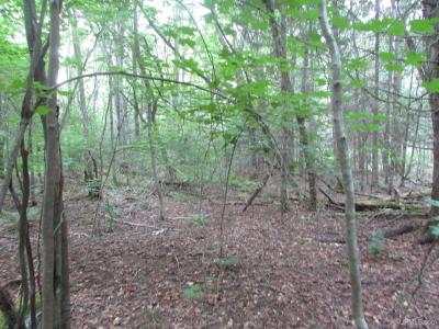 TBD West, Michigamme, Michigan 49861, Stati Uniti