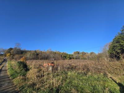 Haley Rd, Ewing, Virginia 24248, USA