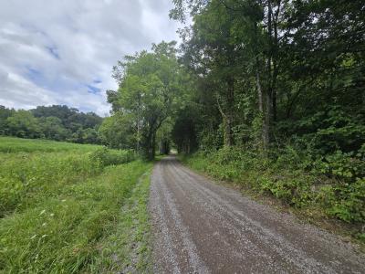 Haley Rd, Ewing, Virgínia 24248, Estados Unidos