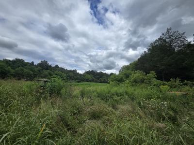 Haley Rd, Ewing, Virgínia 24248, Estados Unidos