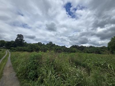 Haley Rd, Ewing, Virginia 24248, USA