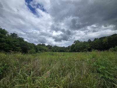 Haley Rd, Ewing, Virgínia 24248, Estados Unidos