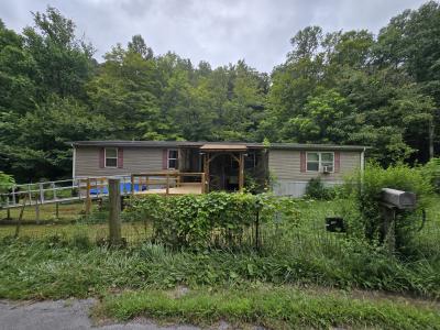 391 Hagan rd, Jonesville, Virginia 24263