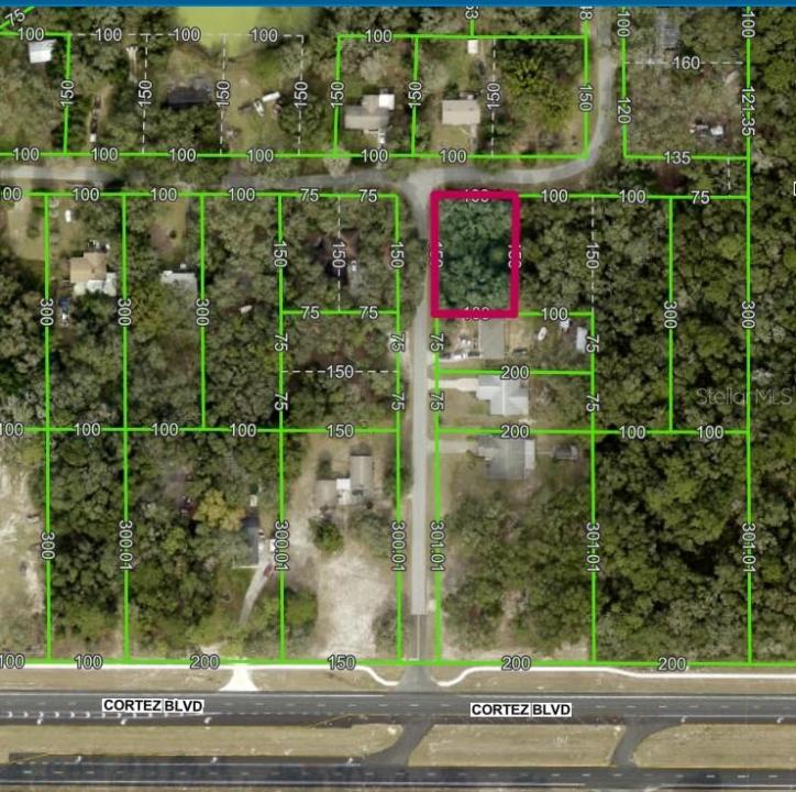 Lot 175C Madison Avenue, Dade City, Floryda 33523, USA