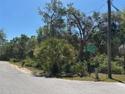 Lot 175C Madison Avenue, Dade City, Floryda 33523, USA
