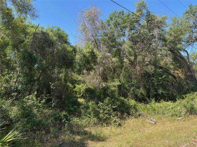 Lot 175C Madison Avenue, Dade City, Floryda 33523, USA