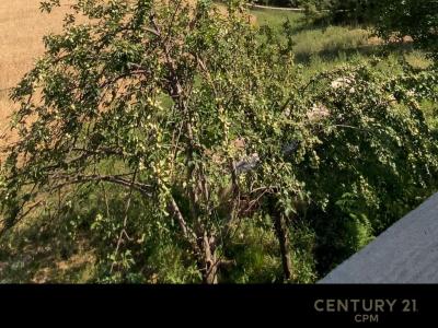 Bërzhitë, Tirana, Albania