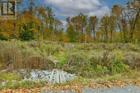 83 SHADY MAPLE ROAD, Mcnab/braeside, Ontario K0J 1G0, Canada