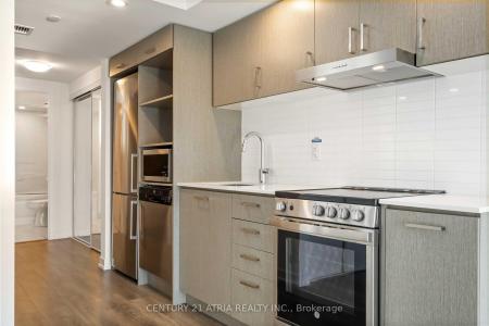 219 DUNDAS STREET, Toronto, Ontario M5A 0V1, Canada