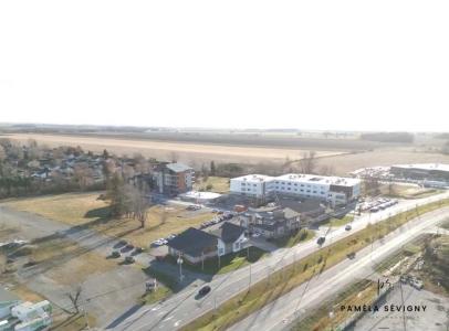 925  Carré Albany-Tétrault, Saint-Hyacinthe, Quebec H1N 1N1, Canadá