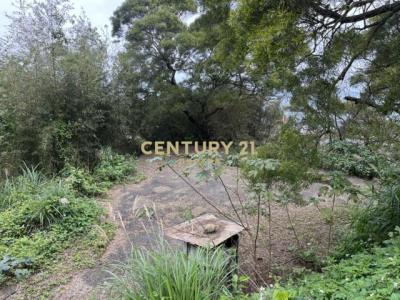 大湖段, Sanzhi Dist., Nuova Taipei 252, Taiwan