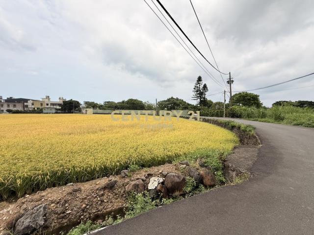 屯山段, Tamsui Dist., نيو تايبيه 251, تايوان