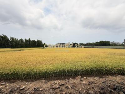 屯山段, Tamsui Dist., نيو تايبيه 251, تايوان