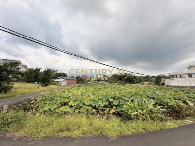 屯山段, Tamsui Dist., نيو تايبيه 251, تايوان