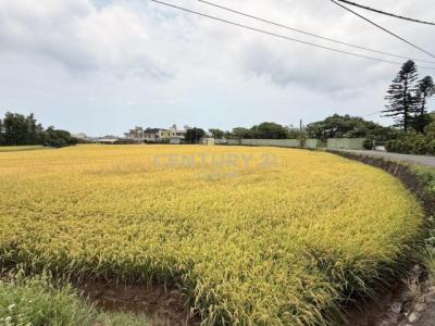 屯山段, Tamsui Dist., نيو تايبيه 251, تايوان