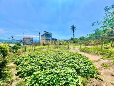 福興段, Nantou, Nantou County 540, Taiwan