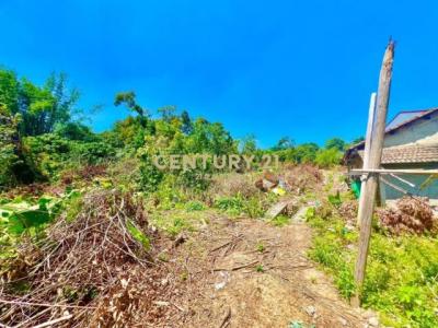 福興段, Nantou, Nantou County 540, Taiwan