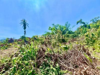 福興段, Nantou, Nantou County 540, Taiwan