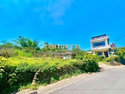 福興段, Nantou City, Nantou County 540, Taiwan