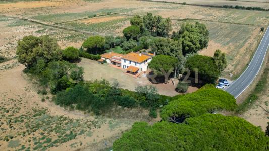 Strada Provinciale San Donato, Orbetello, Toscana 58015, Italie