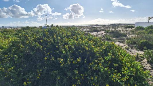 Velddrif, Western Cape, جنوب أفريقيا