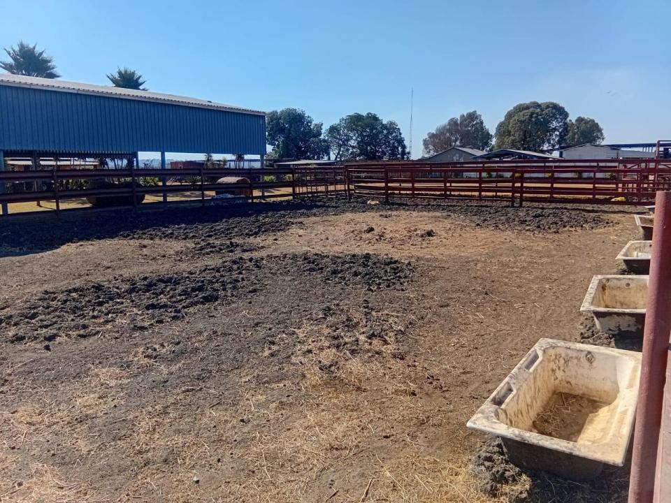 Brakpan, 豪登省, 南非