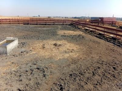 Brakpan, 豪登省, 南非