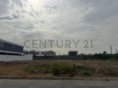 El condado Vicolinci 1, Daule, Guayas 00001, Ecuador