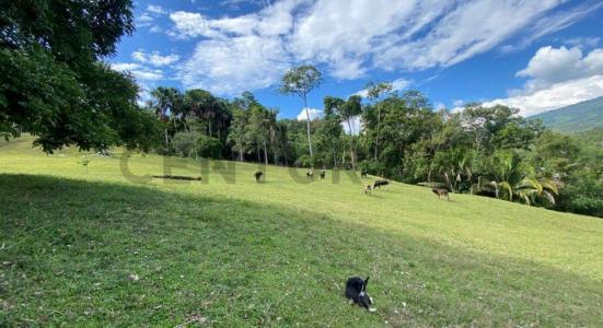UBIC. RUR. PREDIO RUSTICO EL PORVENIR , Lamas, San Martín 00001, Peru