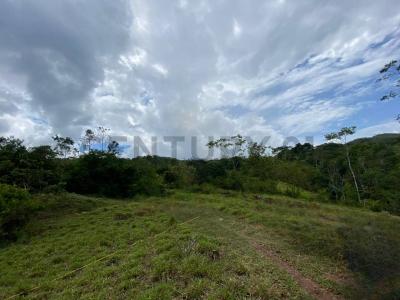 UBIC. RUR. PREDIO RUSTICO EL PORVENIR , Lamas, San Martín 00001, Peru