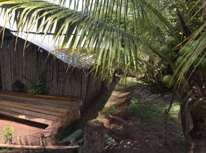 UBIC. RUR. PREDIO RUSTICO EL PORVENIR , Lamas, San Martín 00001, Peru