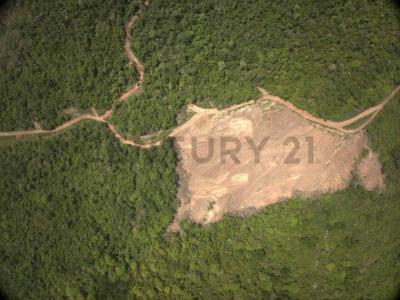 UBIC. RUR. PREDIO RUSTICO MIRADOR , San Martín, San Martín 00001, بيرو