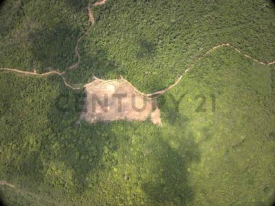 UBIC. RUR. PREDIO RUSTICO MIRADOR , San Martín, San Martín 00001, Peru