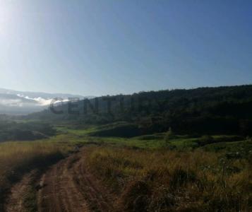 UBIC. RUR. PREDIO RUSTICO MIRADOR , San Martín, San Martín 00001, Peru