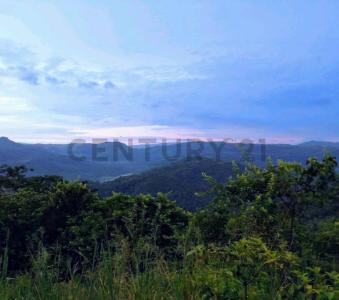 UBIC. RUR. PREDIO RUSTICO MIRADOR , San Martín, San Martín 00001, بيرو