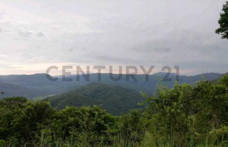 UBIC. RUR. PREDIO RUSTICO MIRADOR , San Martín, San Martín 00001, بيرو