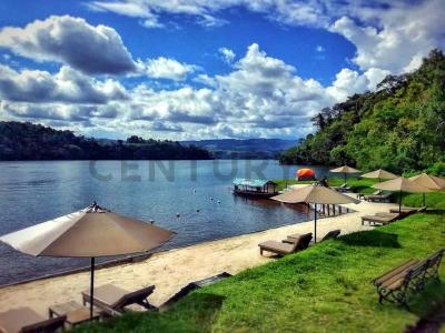 UBIC. RUR. PREDIO RUSTICO MIRADOR , San Martín, San Martín 00001, بيرو