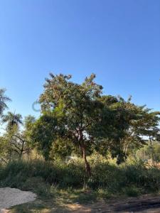 La habana c/ Mónaco , Mariano Roque Alonso, Central 00001, Paraguay