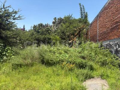 Presa Infiernillo ,, Tepeji Del Río De Ocampo, Hidalgo 42850, Mexico
