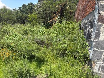 Presa Infiernillo ,, Tepeji Del Río De Ocampo, Hidalgo 42850, Mexico