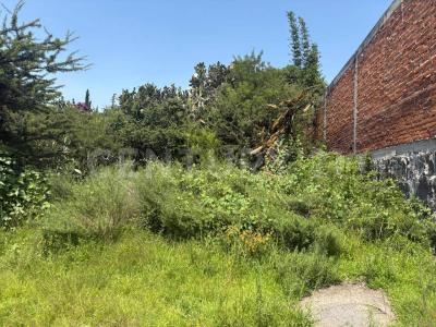 Presa Infiernillo ,, Tepeji Del Río De Ocampo, Hidalgo 42850, Mexico