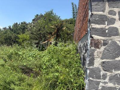 Presa Infiernillo ,, Tepeji Del Río De Ocampo, Hidalgo 42850, Mexico