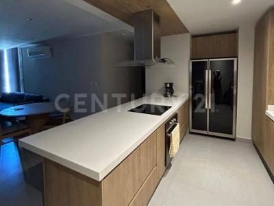 Santa Catarina, Nuevo León 66197, Messico