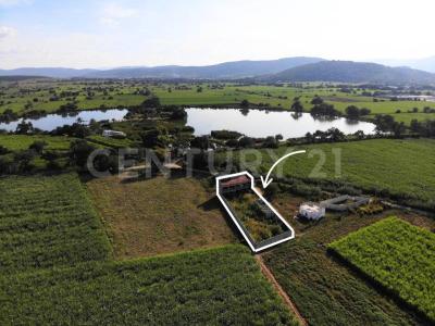 LAS VICTORIAS S/N,, Yautepec, Morelos 62737, Mexique