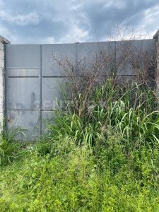 LAS VICTORIAS S/N,, Yautepec, Morelos 62737, Mexique