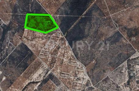 Ciénega De Flores, ولاية نويفو ليون 65550, المكسيك